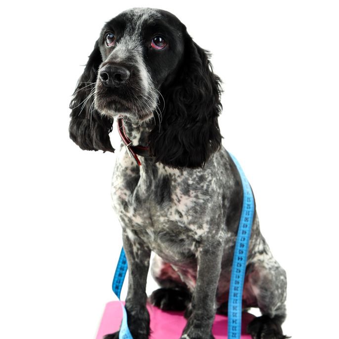 亦云全景摄影公司